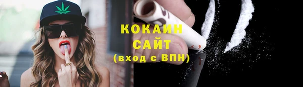 прущая мука Арсеньев