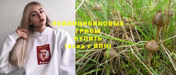 прущая мука Арсеньев