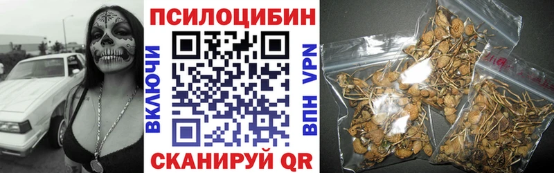 Галлюциногенные грибы Psilocybe МЕГА онион Жиздра