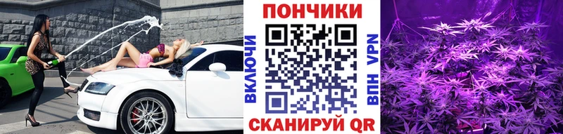 Конопля гибрид Жиздра